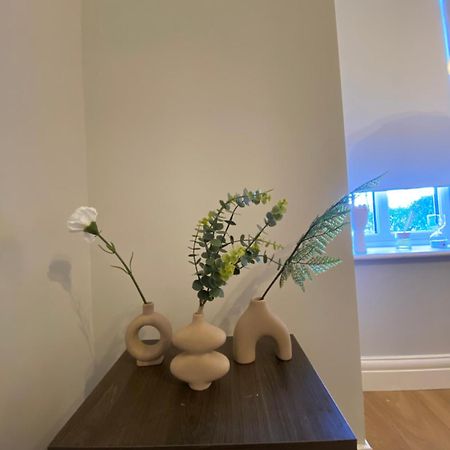 Extra Large Room In New House At Citywest Dublin Extérieur photo